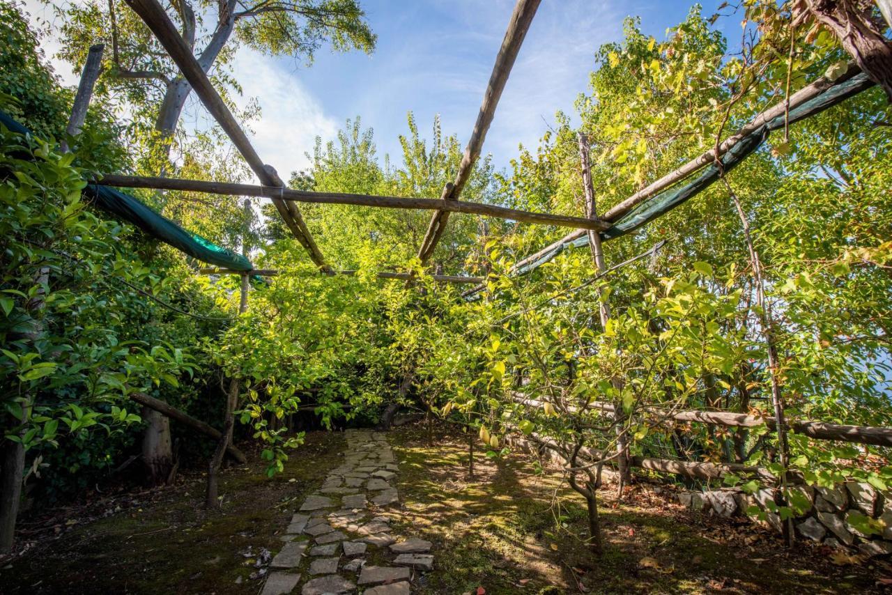 Casa Angelica Villa Sorrento Luaran gambar